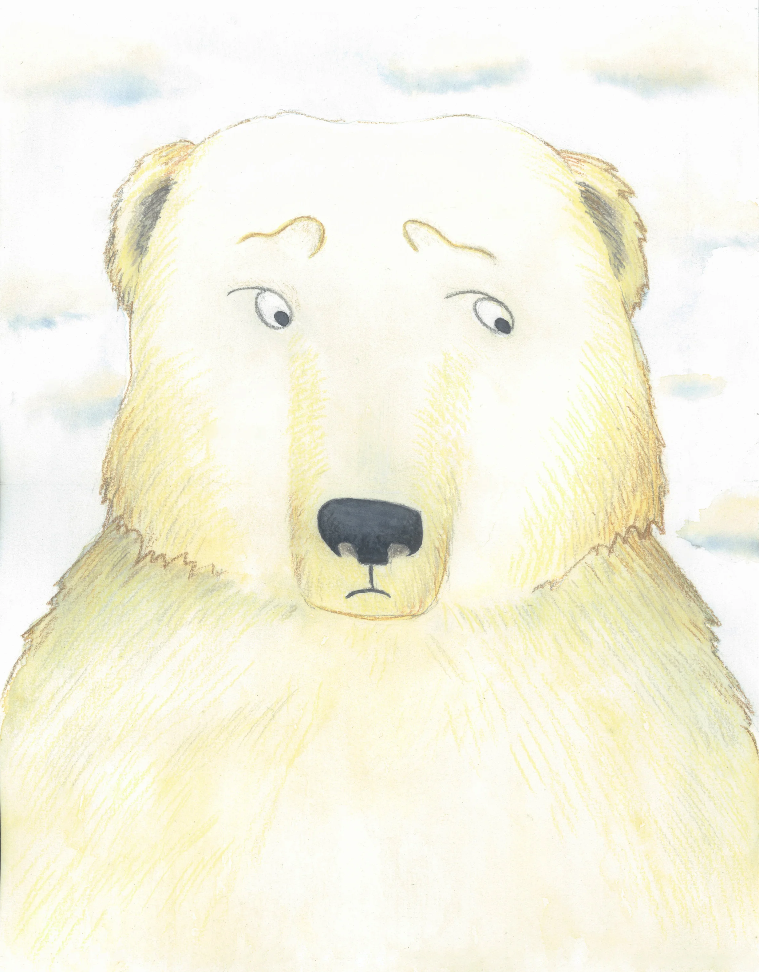 Bear portrait